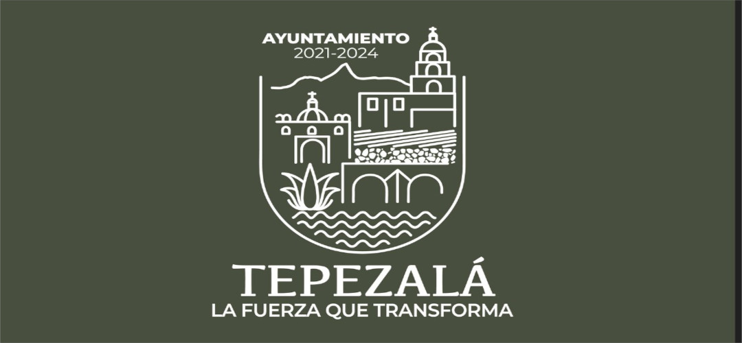 Banner Tepezalá