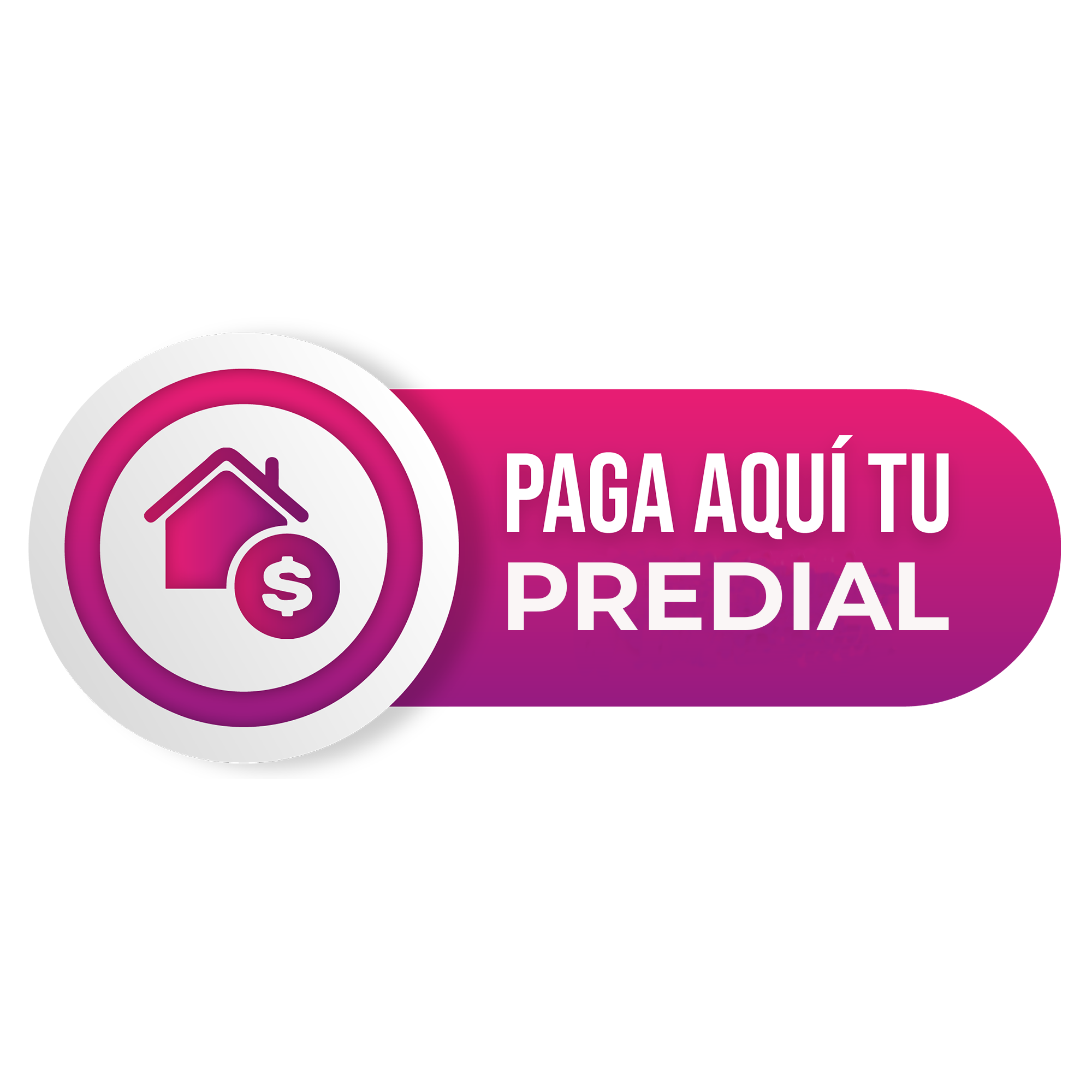 Pago Predial